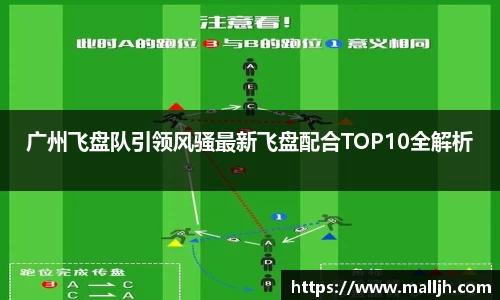 广州飞盘队引领风骚最新飞盘配合TOP10全解析