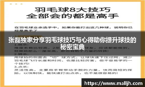张磊独家分享羽毛球技巧与心得助你提升球技的秘密宝典