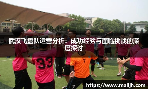 武汉飞盘队运营分析：成功经验与面临挑战的深度探讨